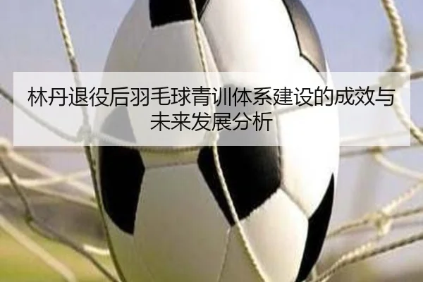 林丹退役后羽毛球青训体系建设的成效与未来发展分析